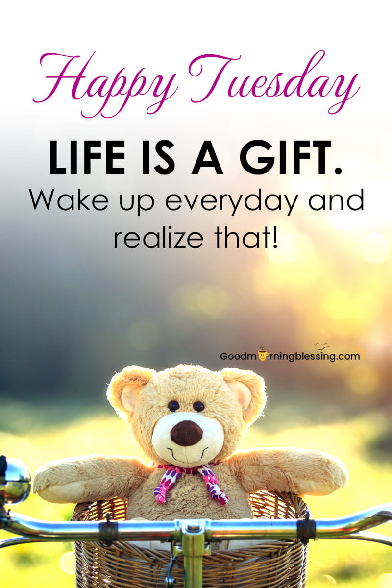 Tuesday Morning Motivational Quotes