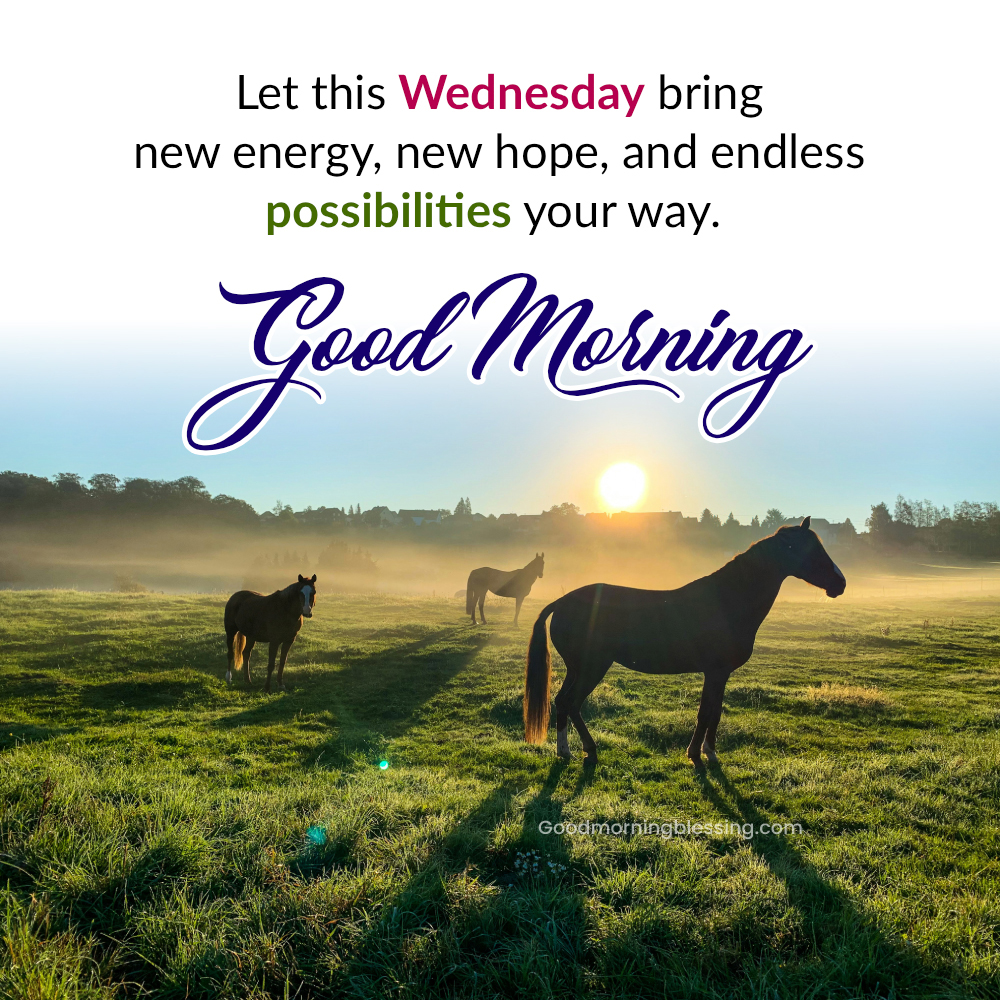 Wednesday Energy Quotes