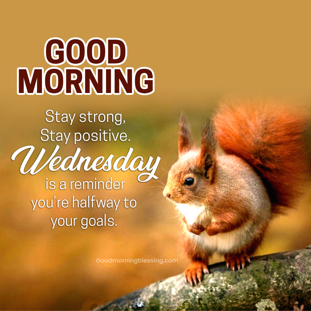 Wednesday Good Morning Images