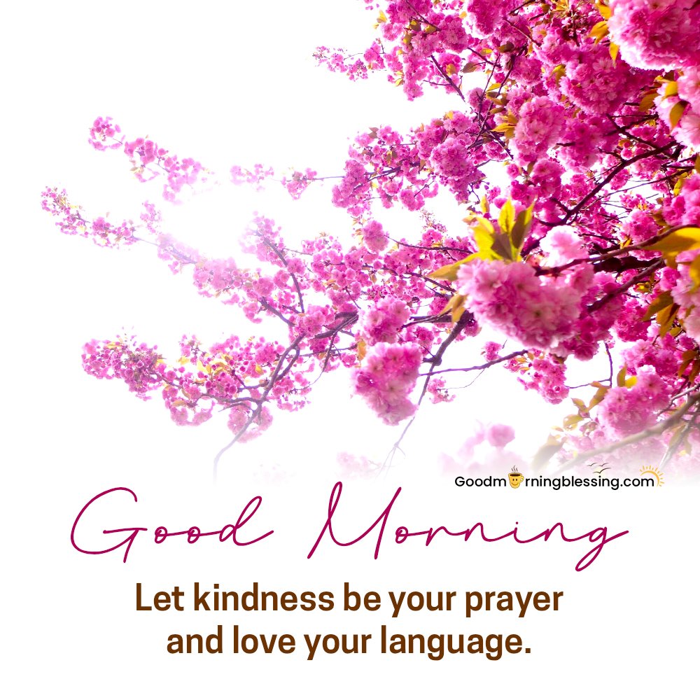 Wednesday Morning Blessings Quotes
