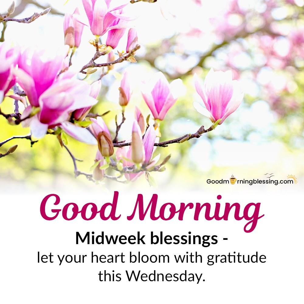 Wednesday Morning Faith Blessings