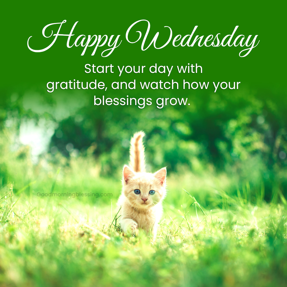 Wednesday Morning Inspirational Quotes With Images