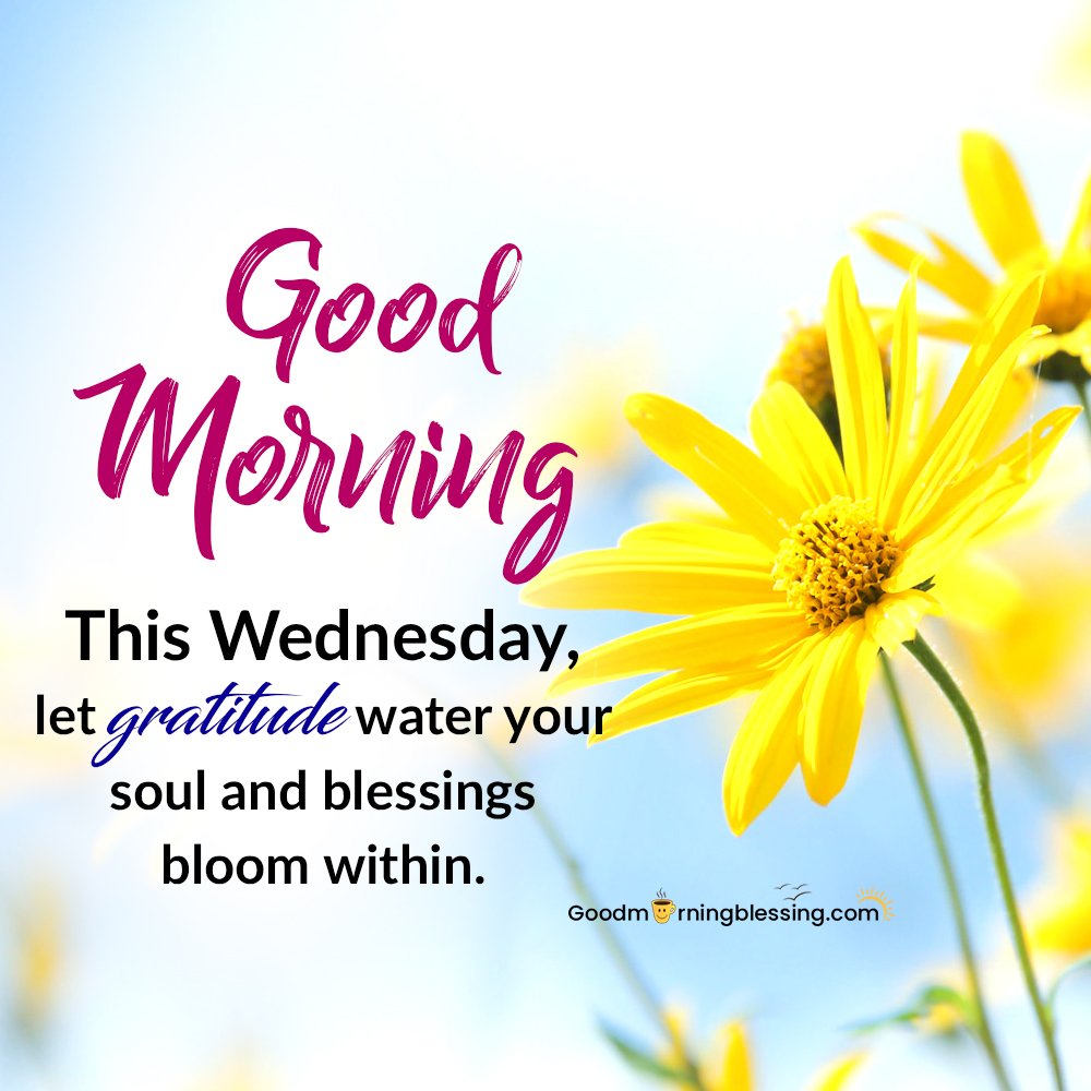 Wednesday Morning Positive Blessings