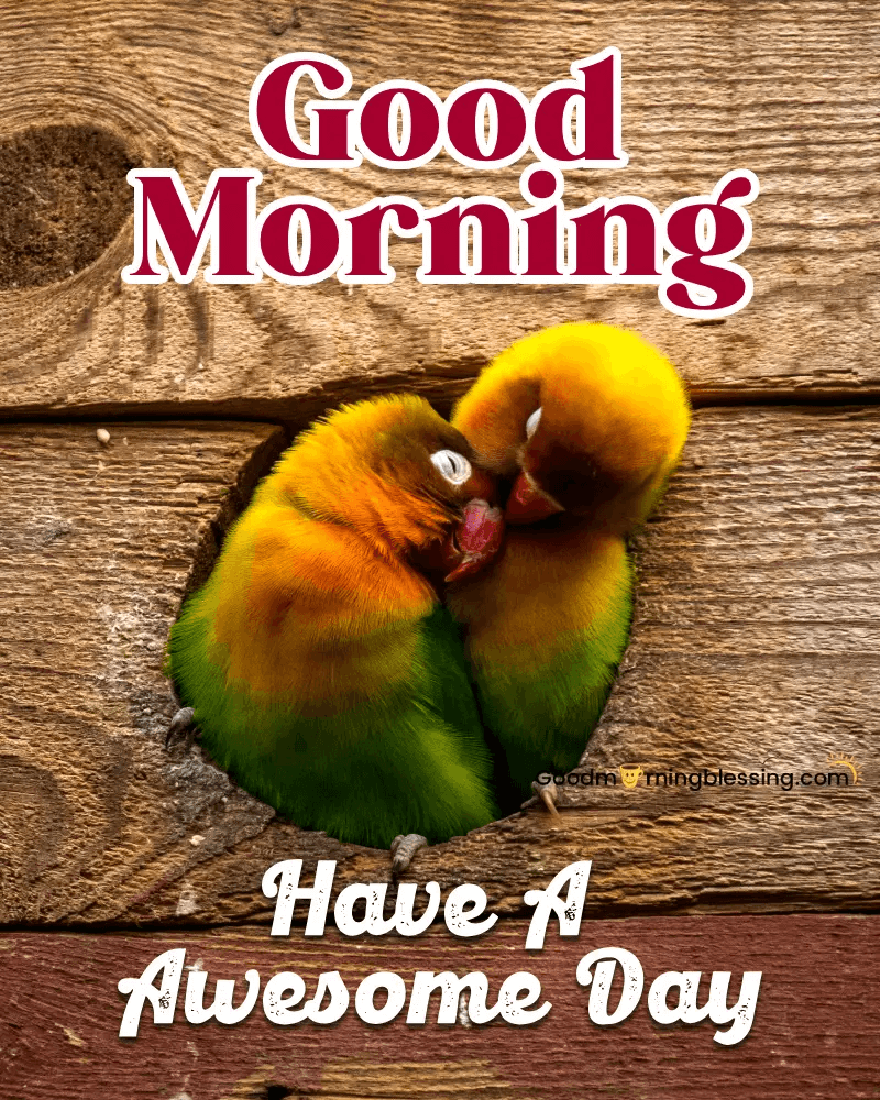 Cute Birds Good Morning Images