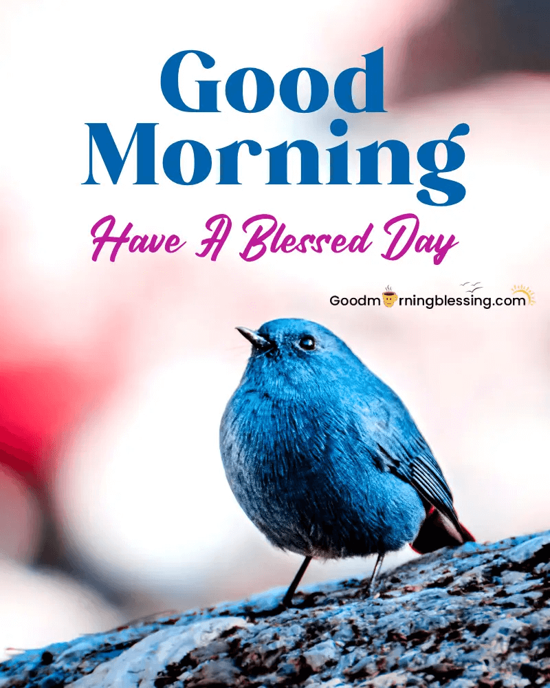 Good Morning Blue Bird Images​