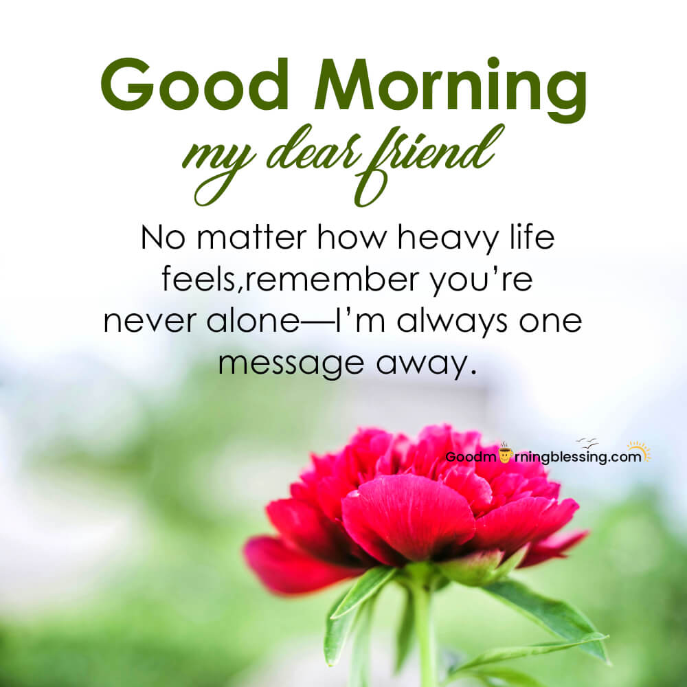 Good Morning Friends Gif