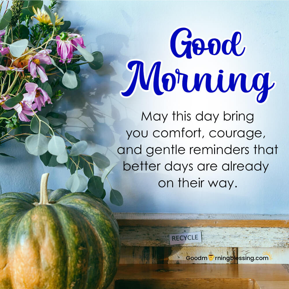 Good Morning Friends Image