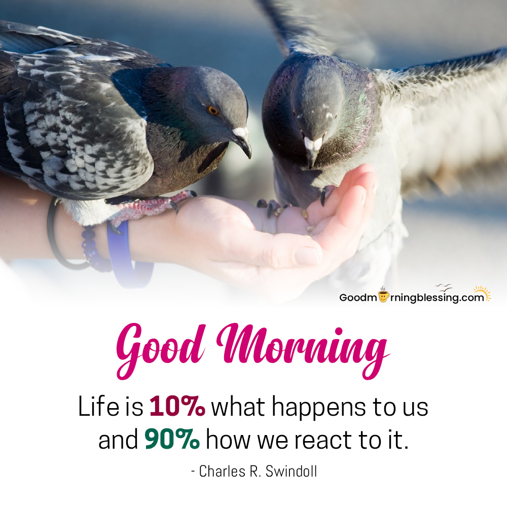 Blessed Good Morning Greetings