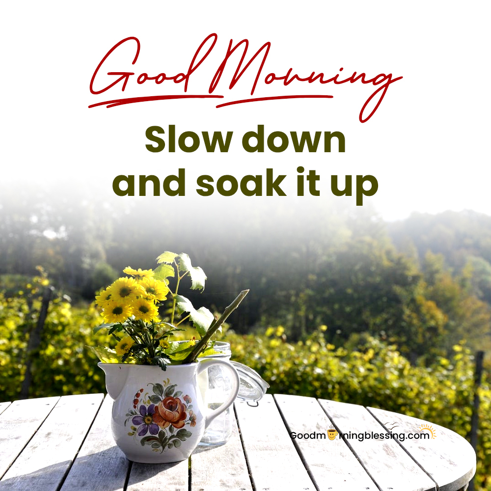 Free Download Good Morning Images​