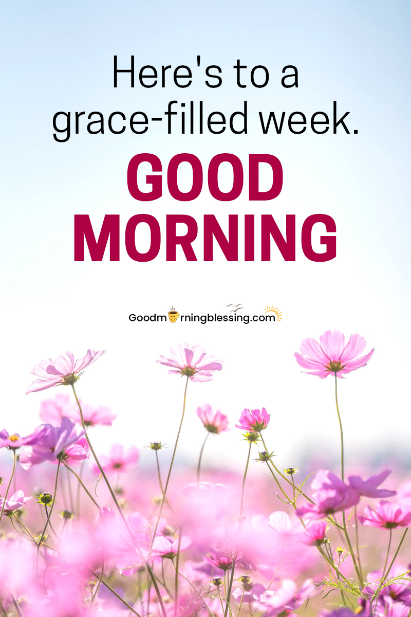 Free Download Images Of Good Morning