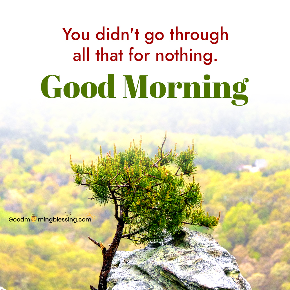 Good Morning Images Free Download​