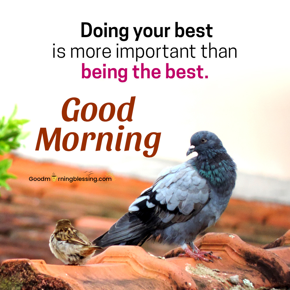 Good Morning Pic Download