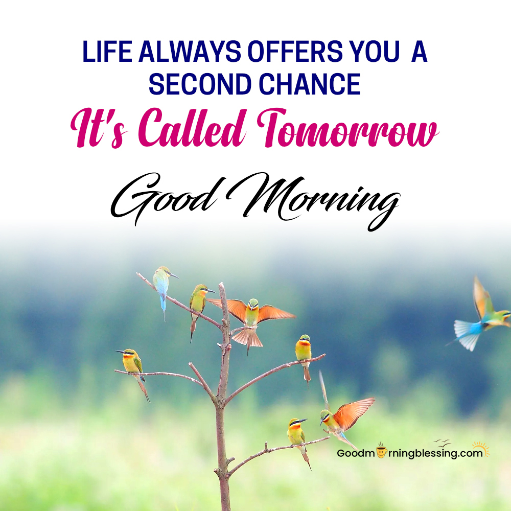Nature Good Morning Monday Images Download