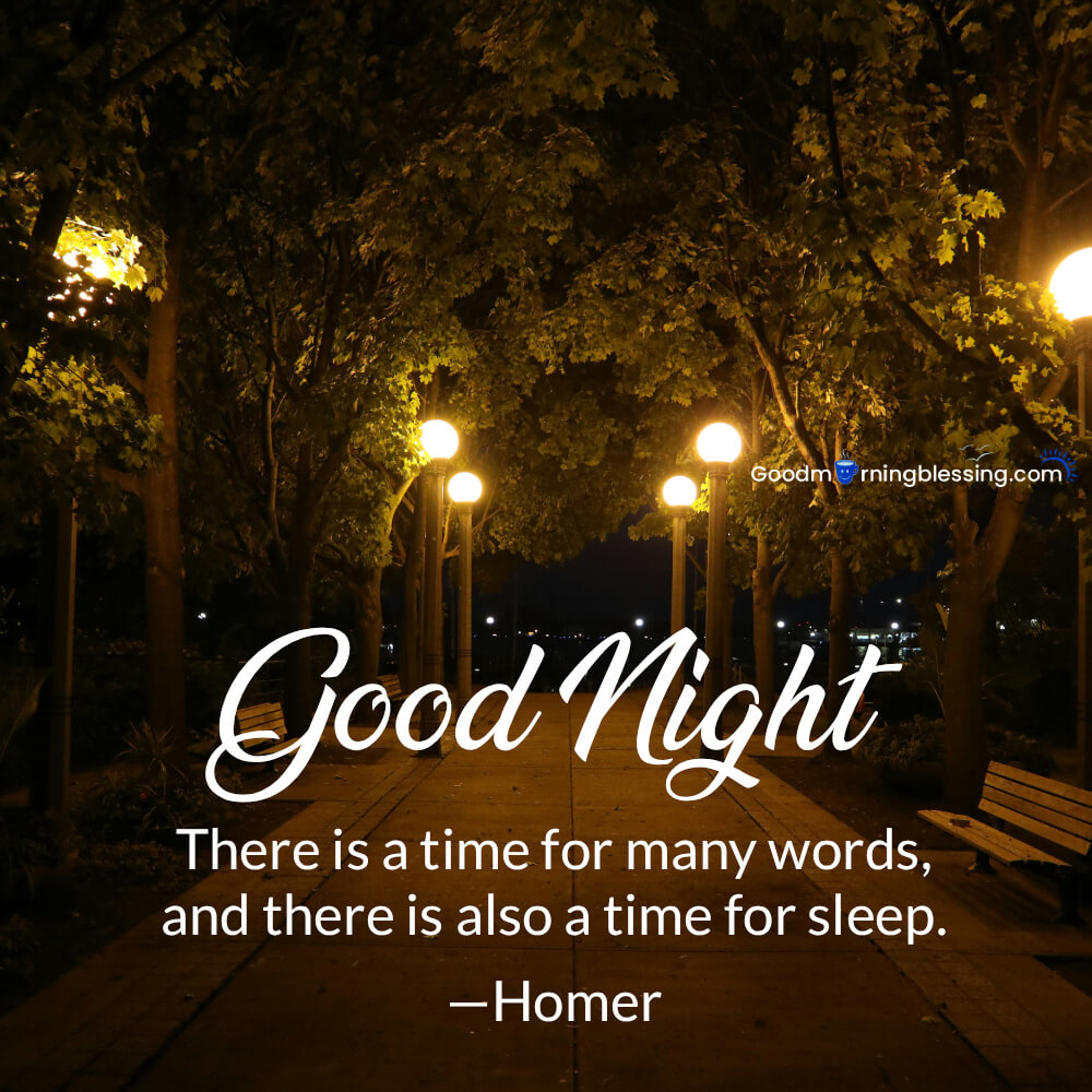Good Night Quotes With Images​