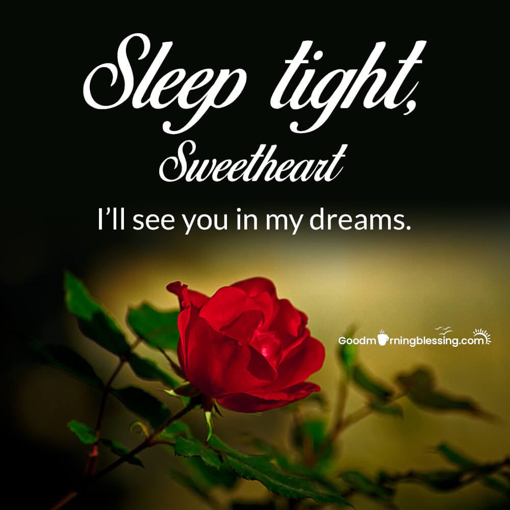 Good Night Text Message For Her