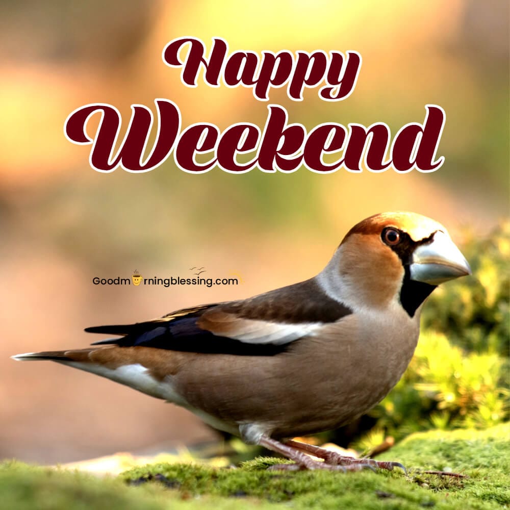 Images Of The Weekend​