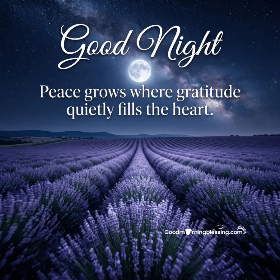 New Good Night Images