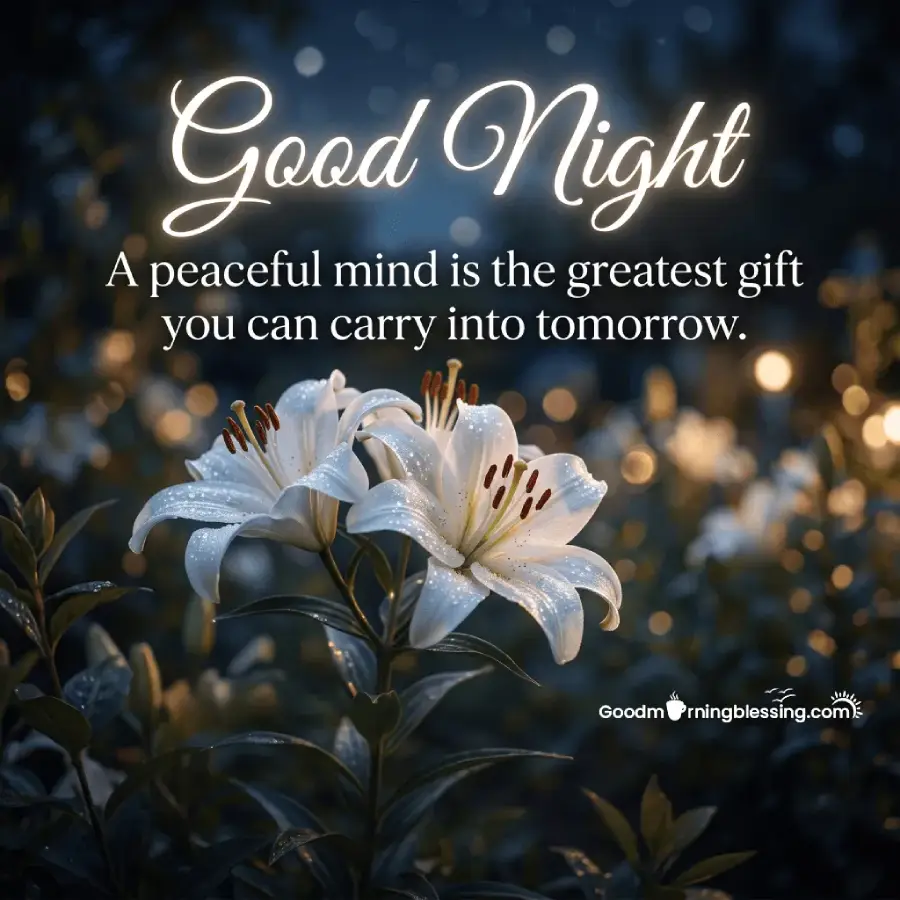 New Style Good Night