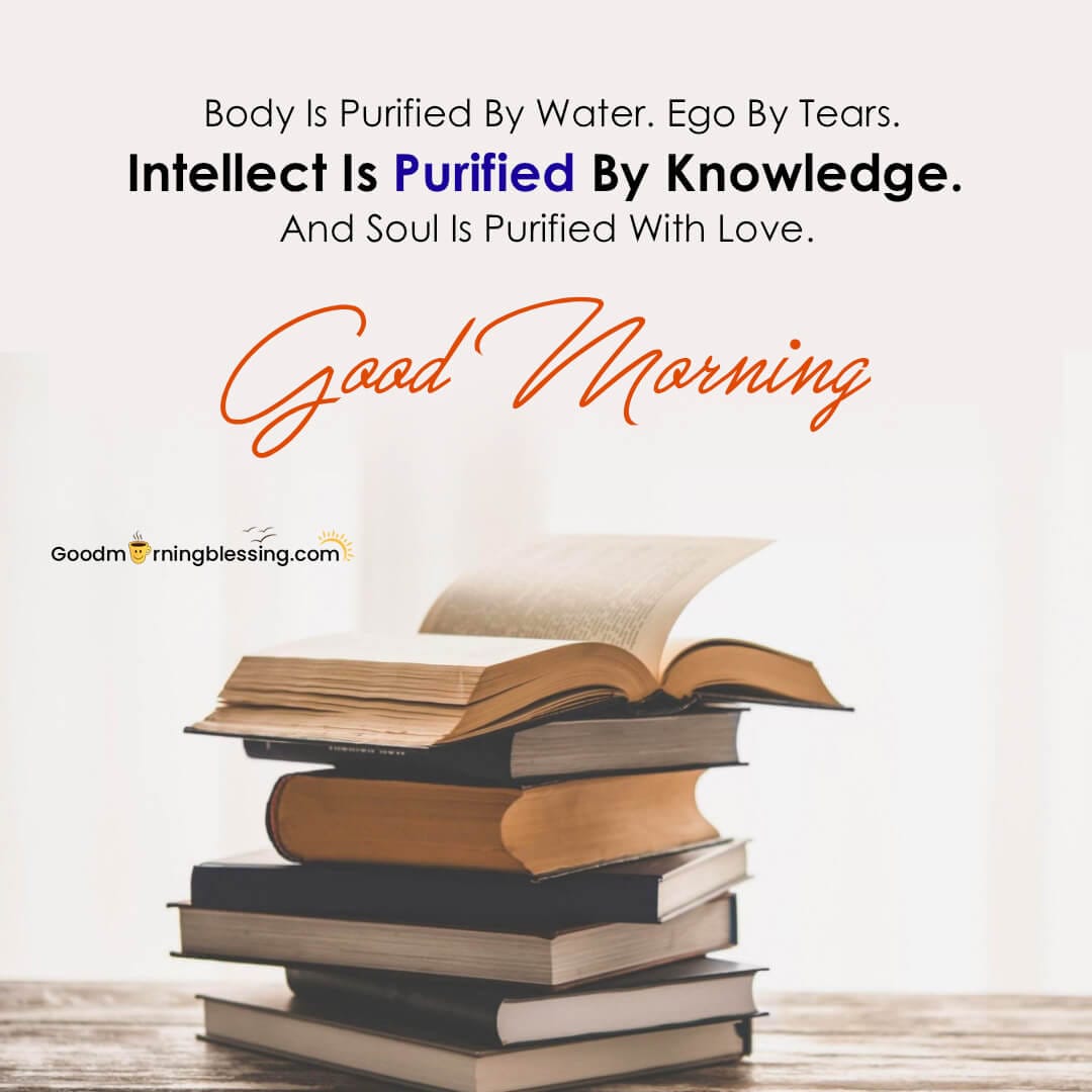 A Course In Miracles Quotes Ego​