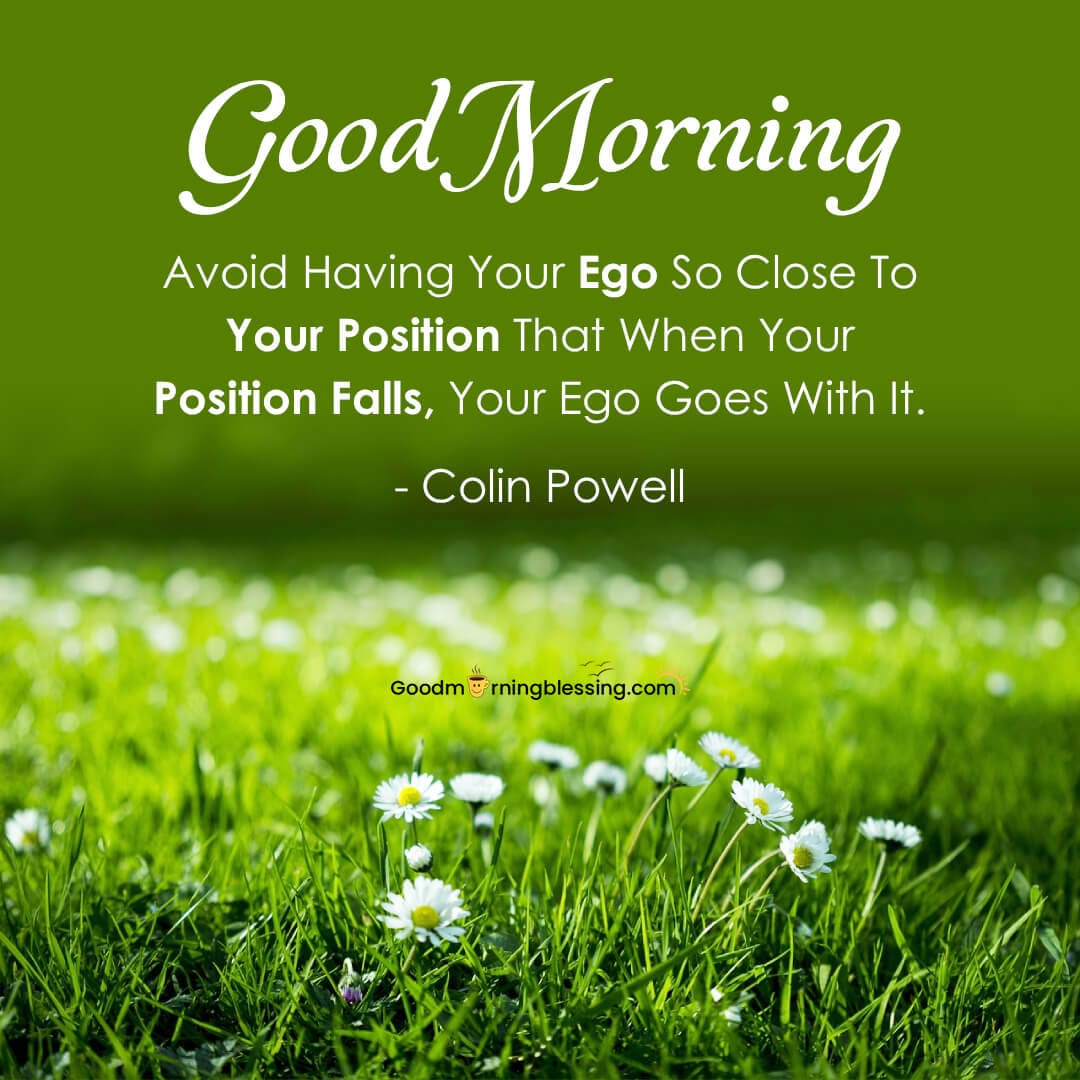 Ego Good Morning Quotes​