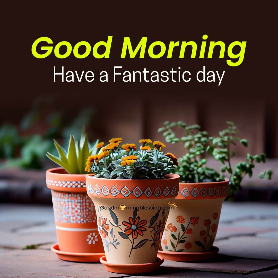 Good Morning Have A Fantastic Day