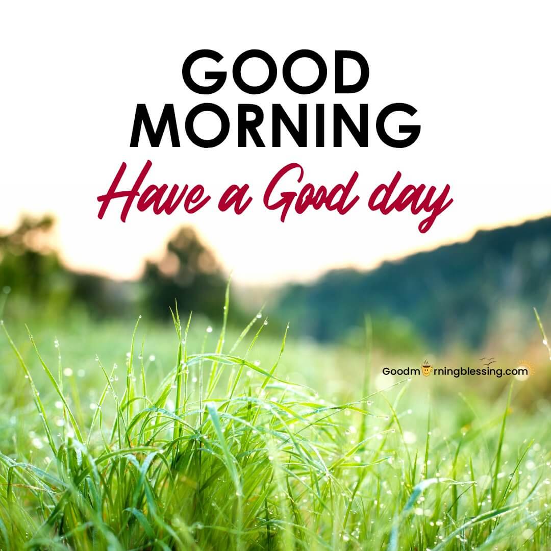 Good Morning Have A Good Day