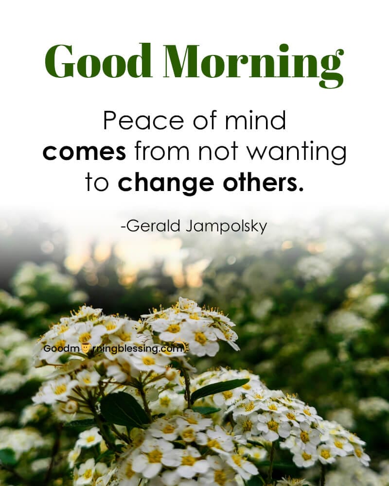 Happiness Is Peace Of Mind Quotes Short​