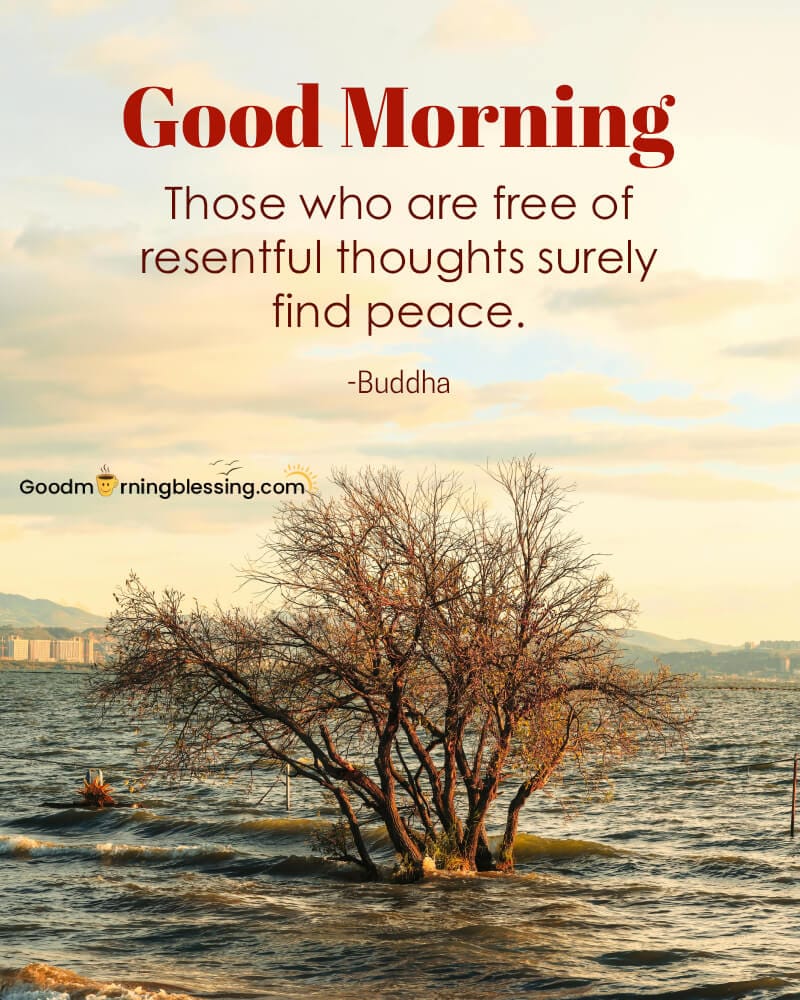 Quotes On Peace Of Mind Buddha​