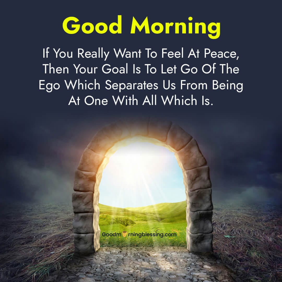 Quotes On Ego​