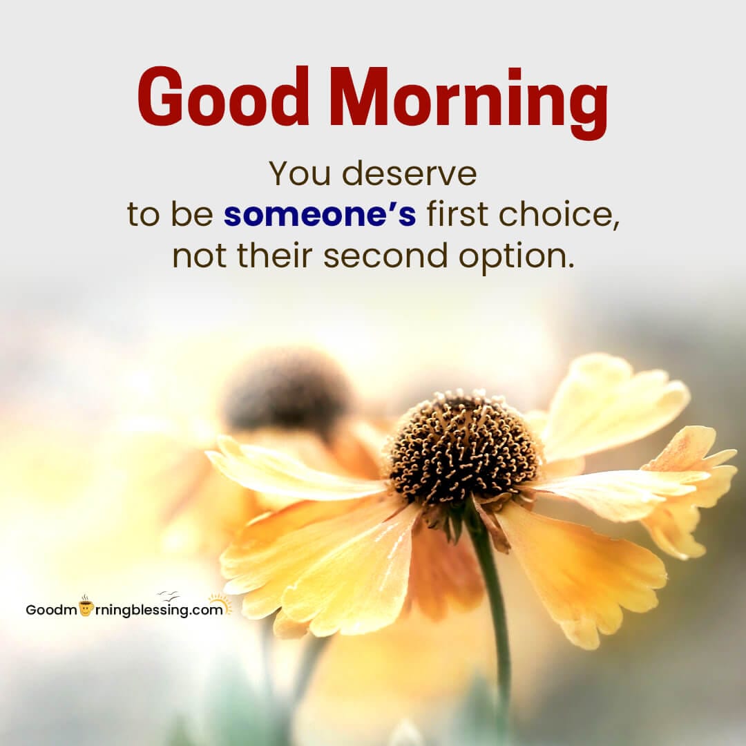 Self Respect Never Beg For Friendship Quotes​