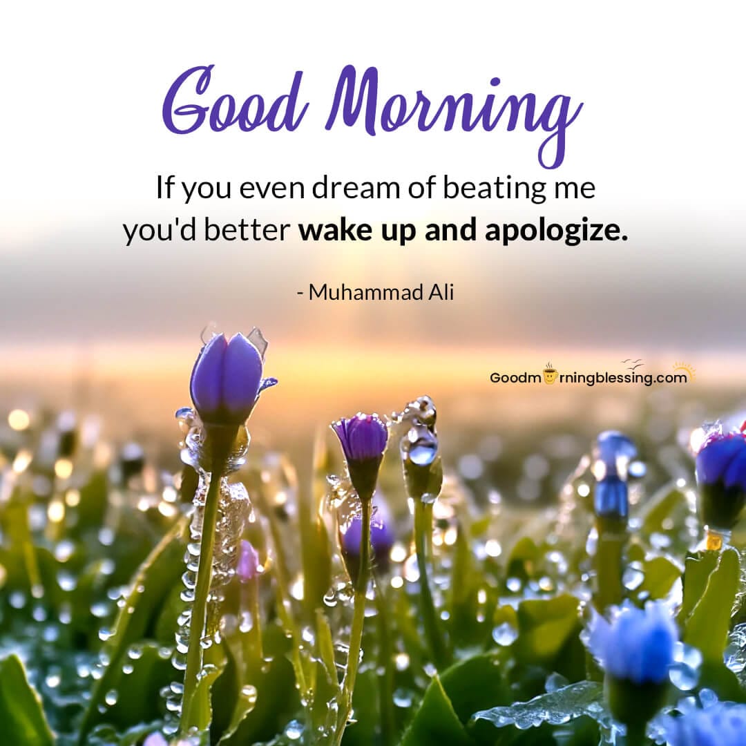 Apology Quotes For Her