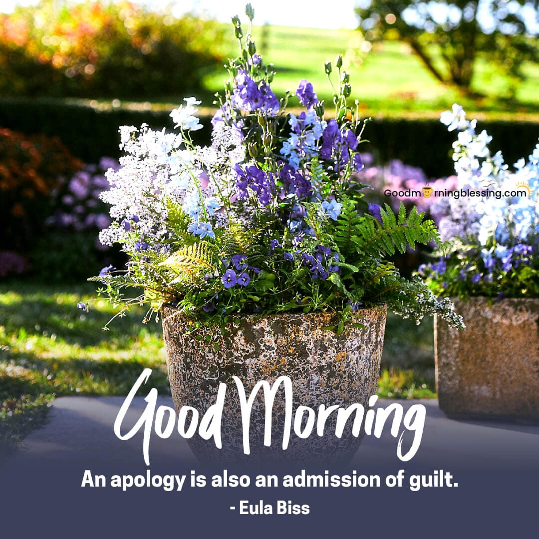 Apology Quotes
