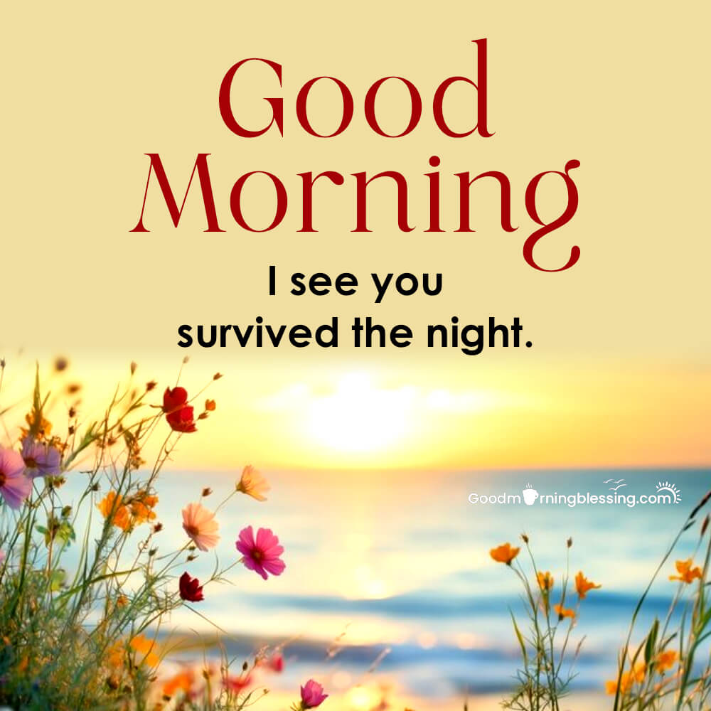 Funny Good Morning Pictures With Captions