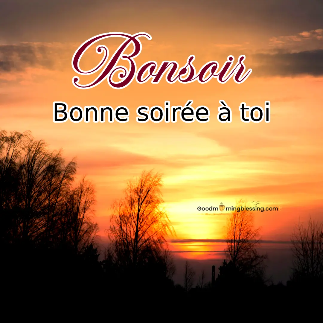 Good Evening In French