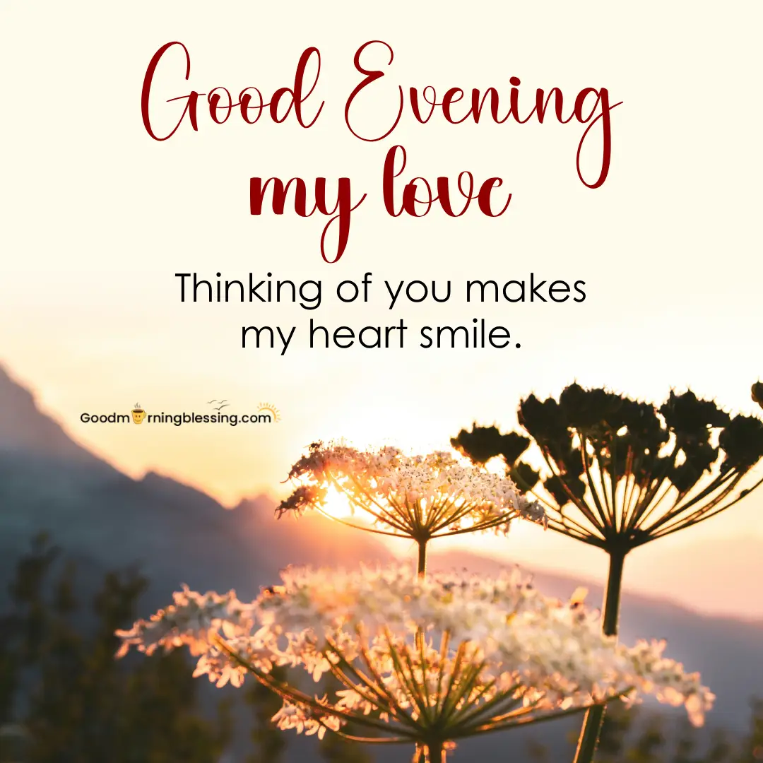 Good Evening Love Sms