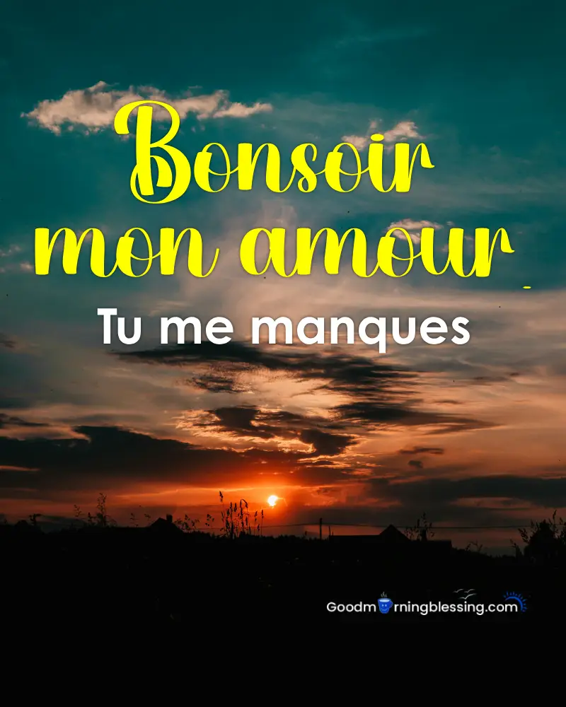 Good Evening Love In French