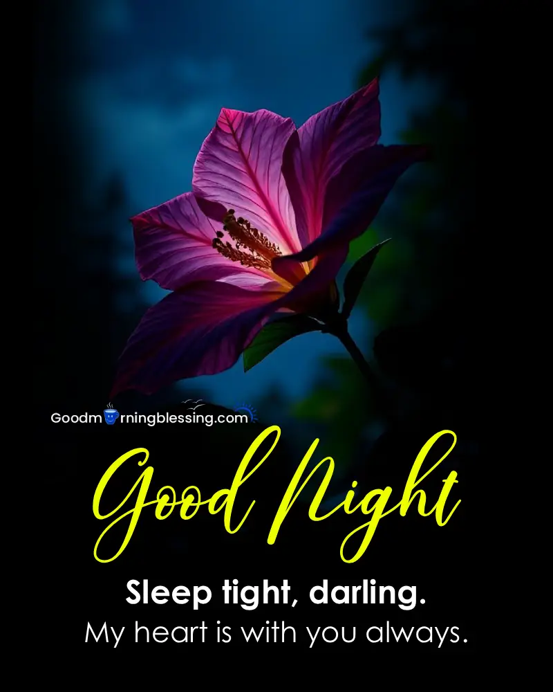 Romantic Good Night Messages