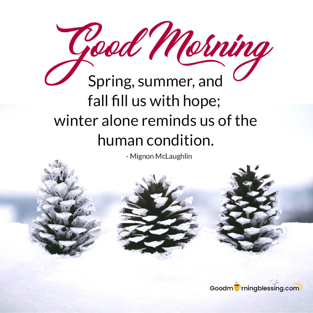 Beautiful Winter Good Morning Images​