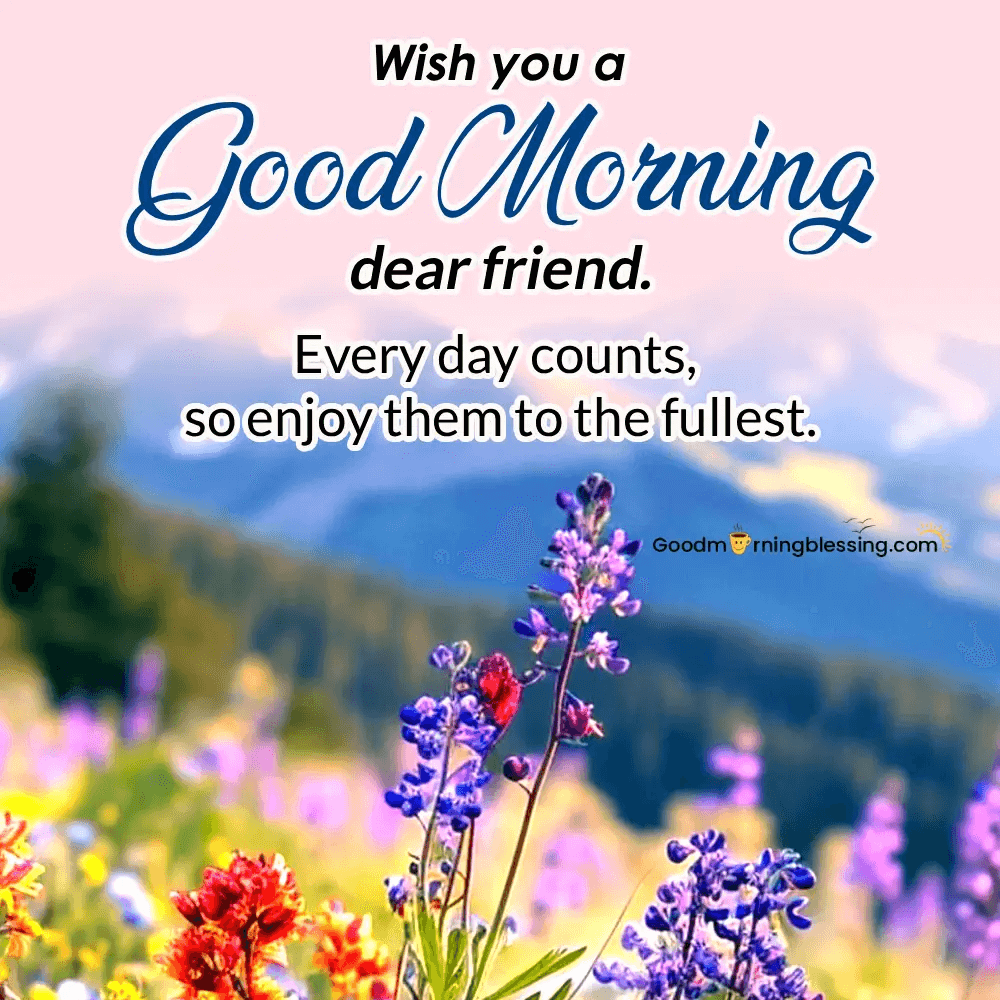 Friend Beautiful Good Morning Images​