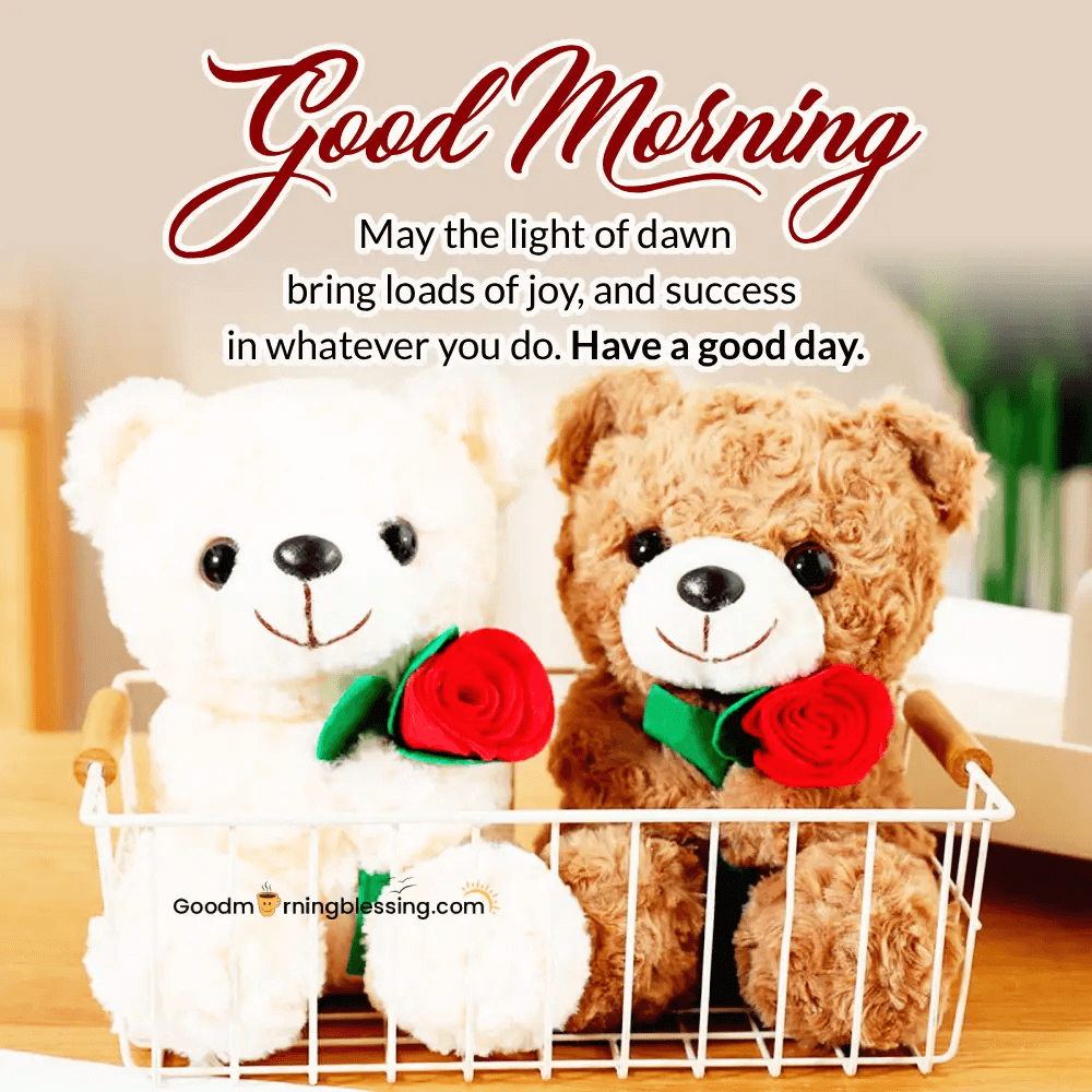 Good Morning Beautiful Friend​