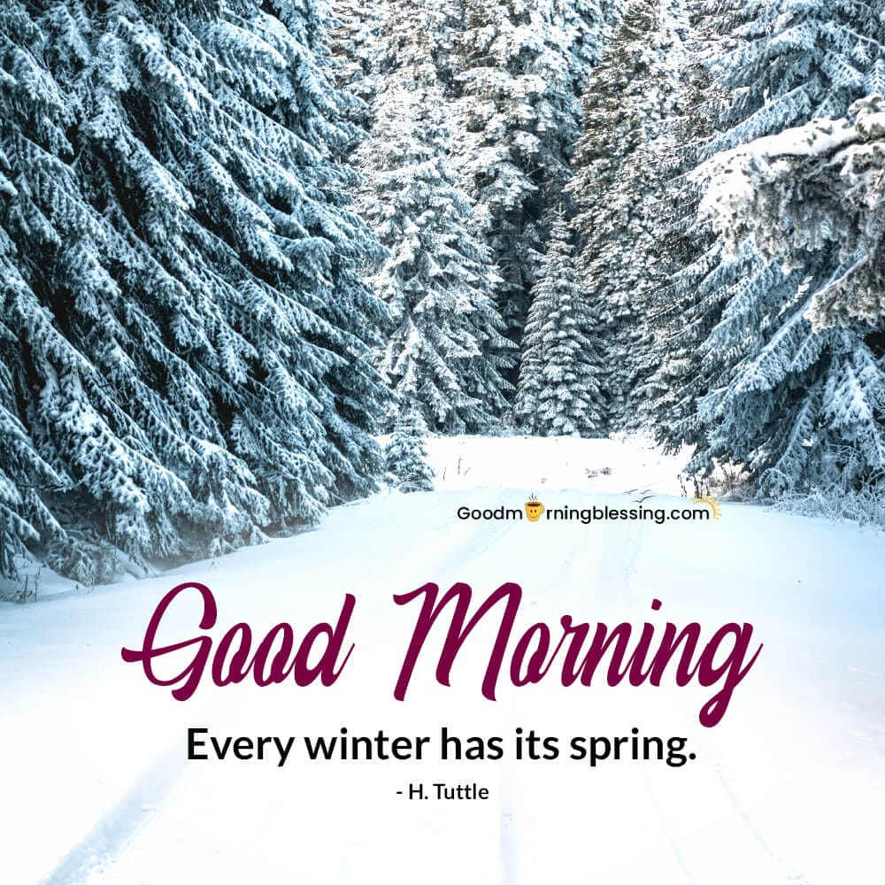 Good Morning Images In Winter​