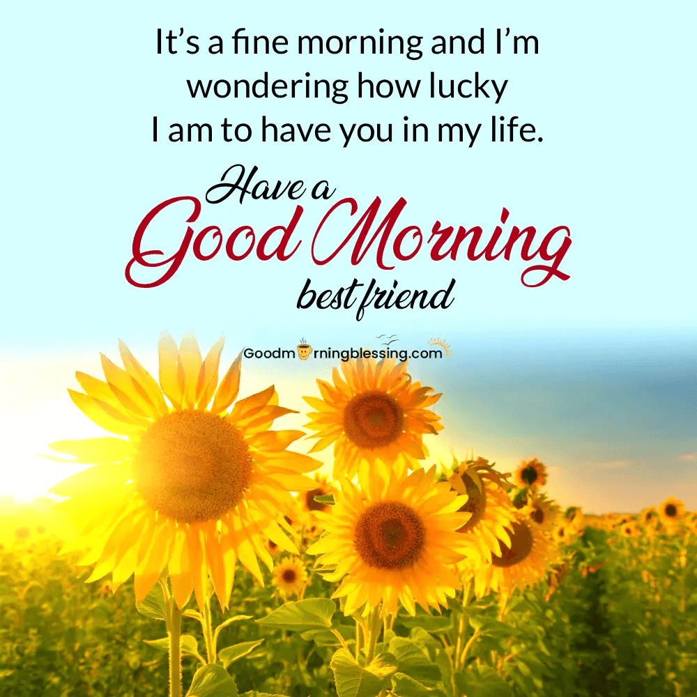 Good Morning Message For A Best Friend​