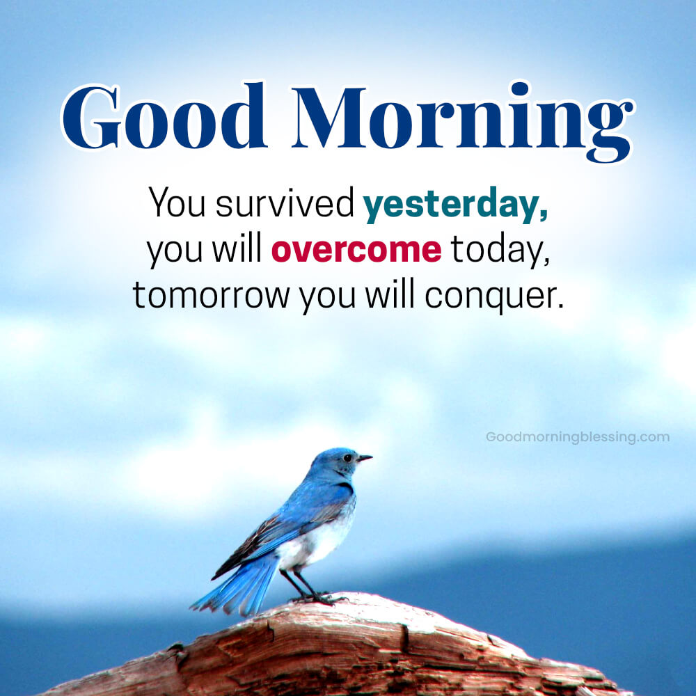 Good Morning Monday Gif​