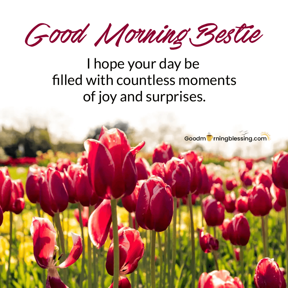 Good Morning My Beautiful Friend​