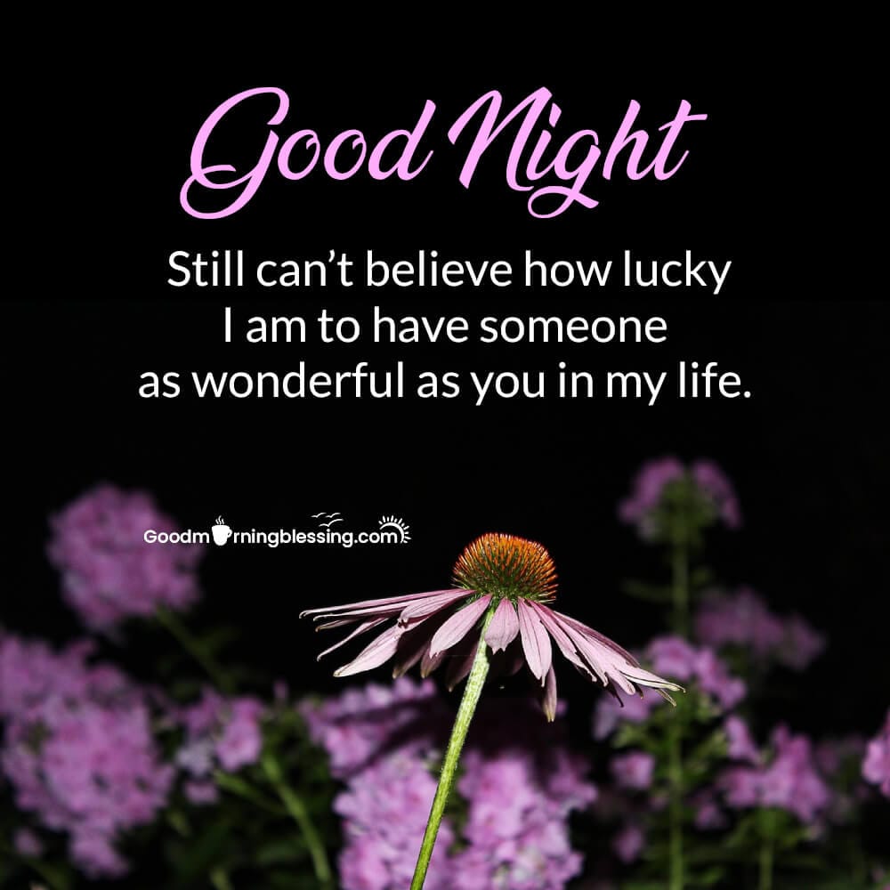 Good Night Love Quotes For Him Images​