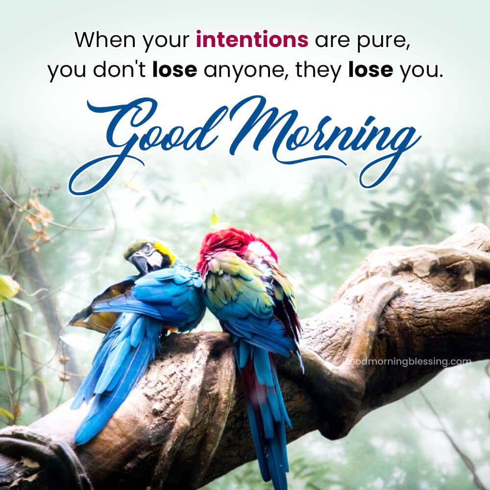 Images For Good Morning Monday​