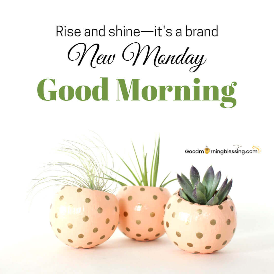 Monday Good Morning​