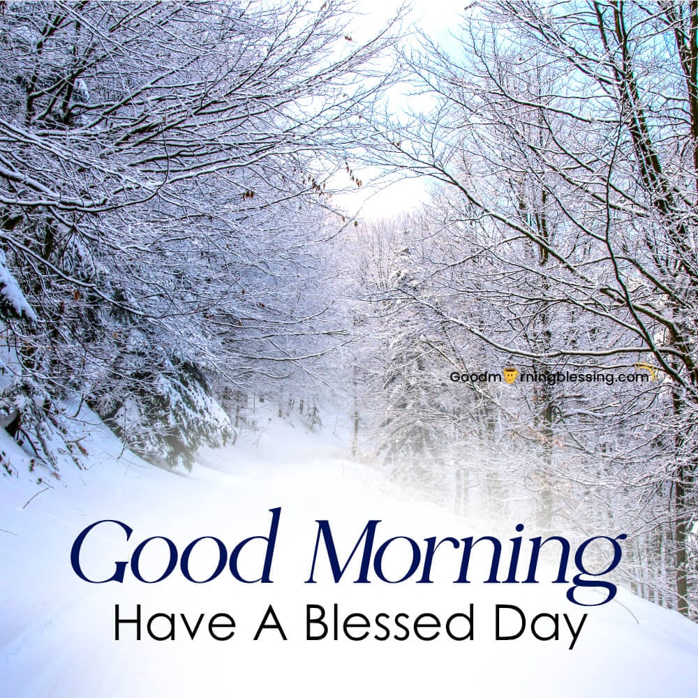 Winter Images Good Morning 