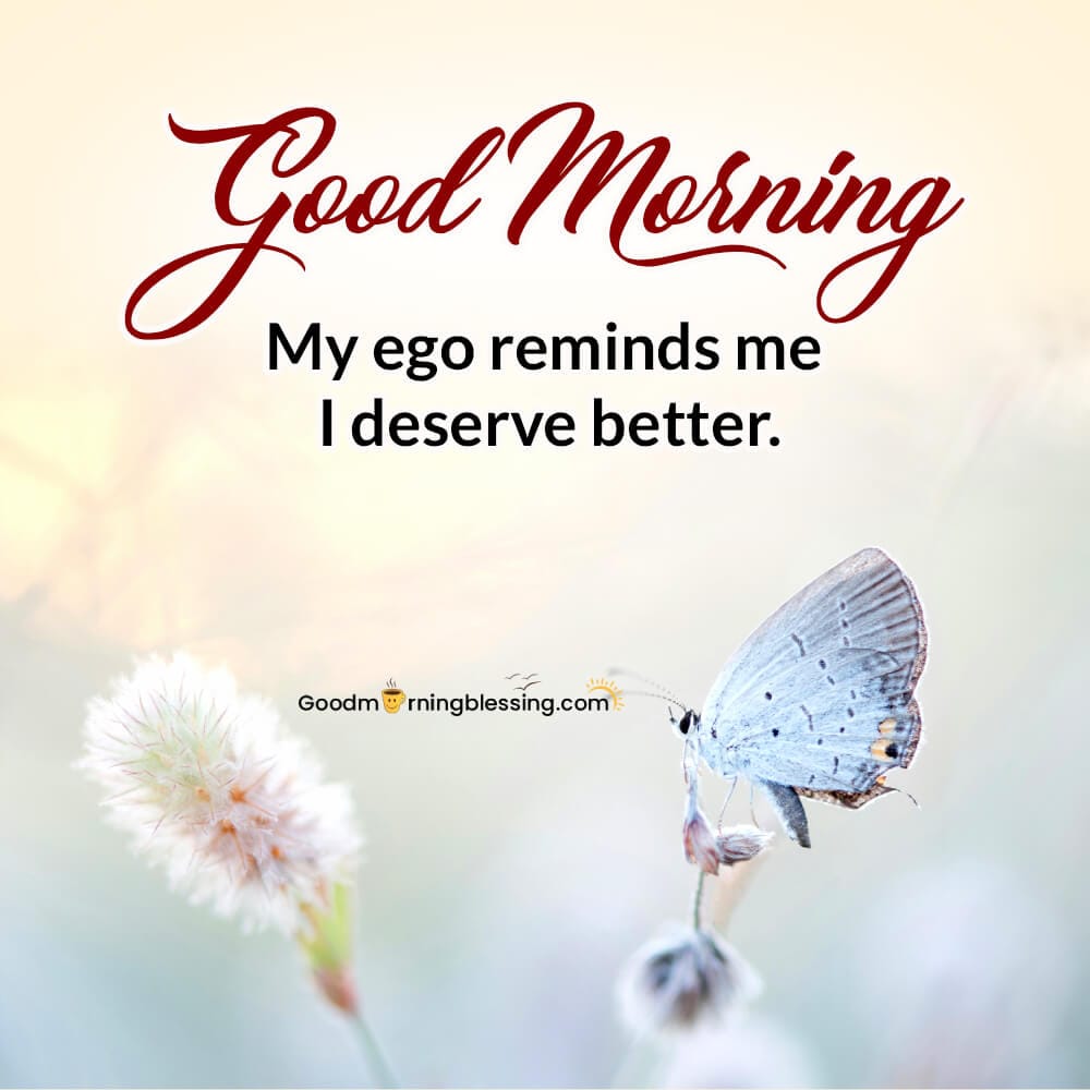 Ego Quotes Relationships