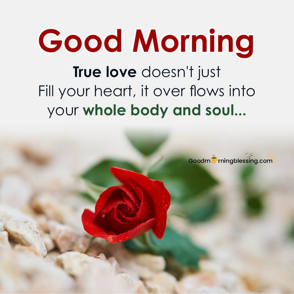 Free Download Good Morning Love Images